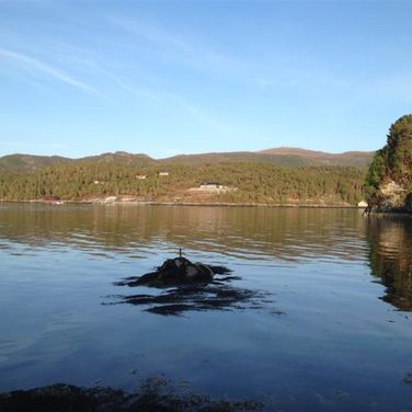 en liten holm som stikker opp i en fjord