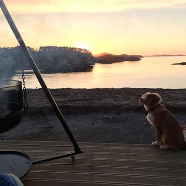 en hund som sitter på en platting med et bål i bakgrunnen og sola som går ned bak fjorden i bakgrunnen
